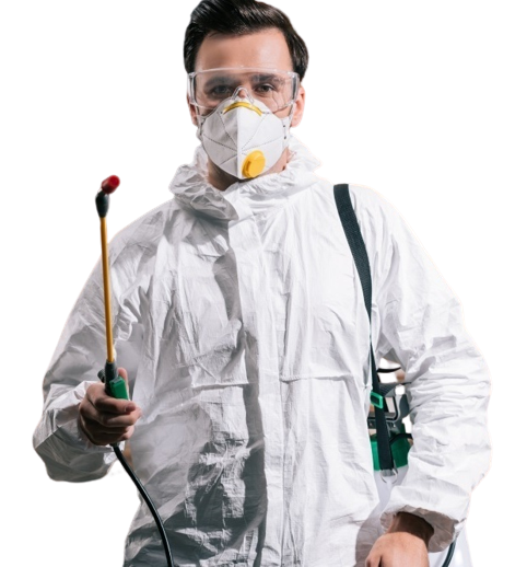 0aeaa2a23caffc7c86d715b821e7550c removebg preview