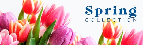 springprisheader467x150 dt20220307214123526503